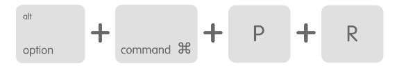 Option + Command + P + R Keys.Image